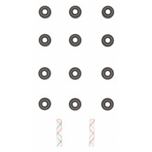Load image into Gallery viewer, SS 70795-2 Engine Valve Stem Oil Seal Set Felpro