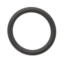 Load image into Gallery viewer, SK31 Standard Ignition Fuel Injection Pressure Regulator O-Ring Standard Ignition Canada