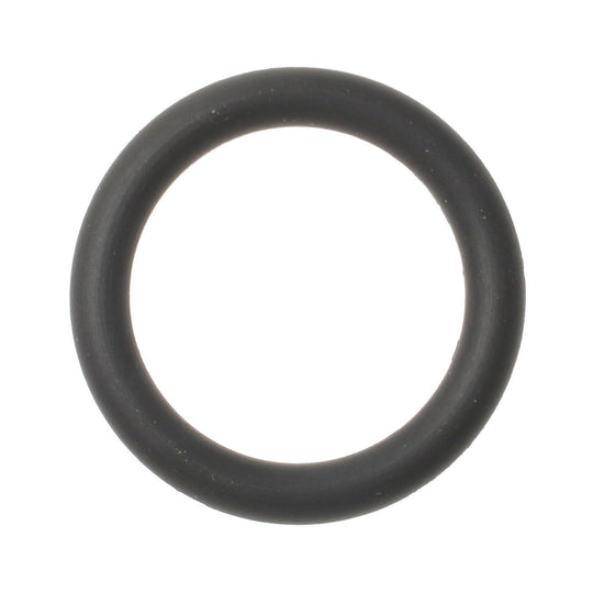 SK32 Standard Import Fuel Injection Pressure Regulator O-Ring Standard Import Canada
