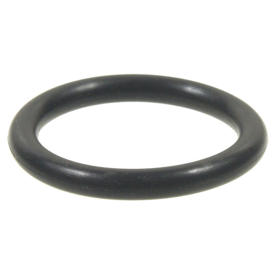 SK58 Standard Ignition Fuel Injection Fuel Rail O-Ring Kit Standard Ignition Canada