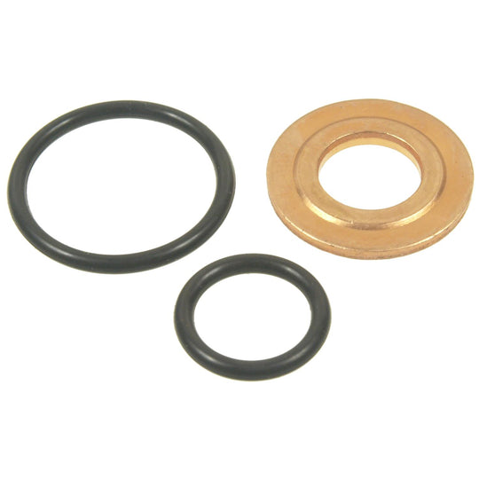 SK66 Fuel Injector Seal Kit Standard Ignition Canada