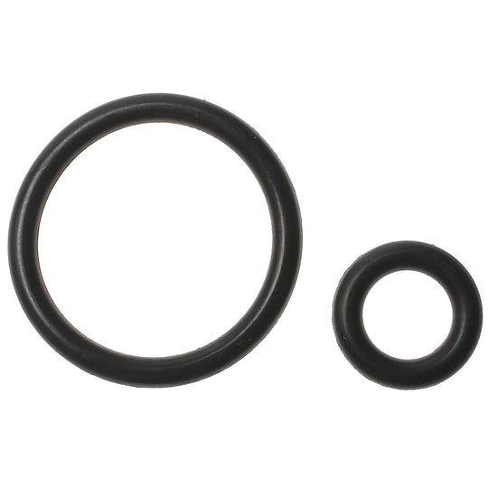 SK6 Standard Ignition Fuel Injection Fuel Rail O-Ring Kit Standard Ignition Canada