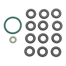 Load image into Gallery viewer, SK76 Fuel Injector Seal Kit Standard Ignition Canada