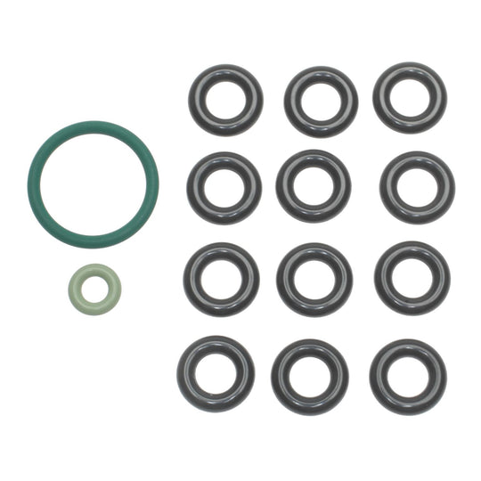 SK76 Fuel Injector Seal Kit Standard Ignition Canada