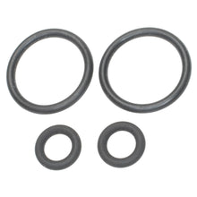 Load image into Gallery viewer, SK96 Fuel Injector Seal Kit Standard Ignition Canada