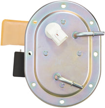 Load image into Gallery viewer, SP3019M Spectra Premium Fuel Pump Module Assembly Spectra Premium Canada