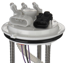 Load image into Gallery viewer, SP363M Spectra Premium Fuel Pump Module Assembly Spectra Premium Canada