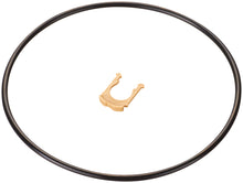 Load image into Gallery viewer, SP9165M Spectra Premium Fuel Pump Module Assembly Spectra Premium Canada