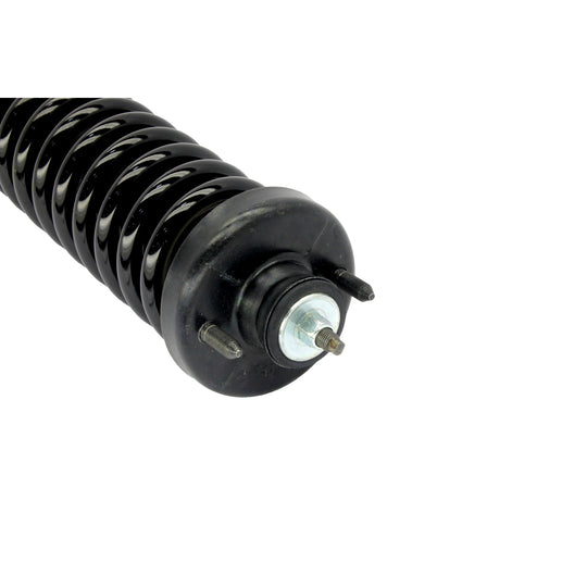 SR4041 Strut-Plus Suspension Strut and Coil Spring Assembly KYB Canada
