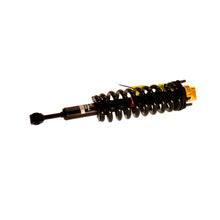 Load image into Gallery viewer, SR4119 Strut-Plus Suspension Strut and Coil Spring Assembly KYB Canada