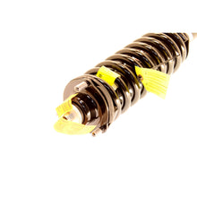 Load image into Gallery viewer, SR4119 Strut-Plus Suspension Strut and Coil Spring Assembly KYB Canada