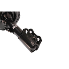 Load image into Gallery viewer, SR4144 Strut-Plus Suspension Strut and Coil Spring Assembly KYB Canada