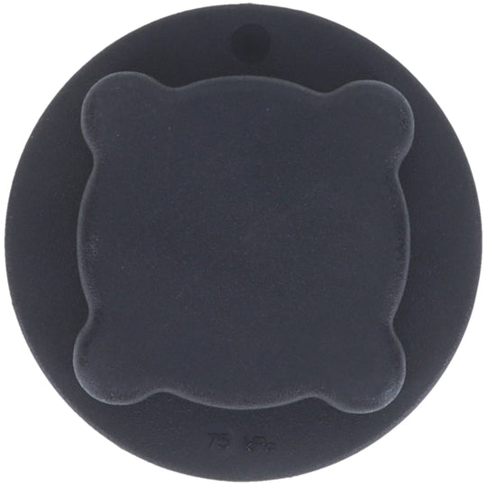 T28 Engine Coolant Reservoir Cap BFNG