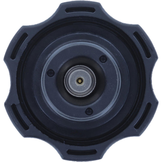 T46 Engine Coolant Reservoir Cap BFNG