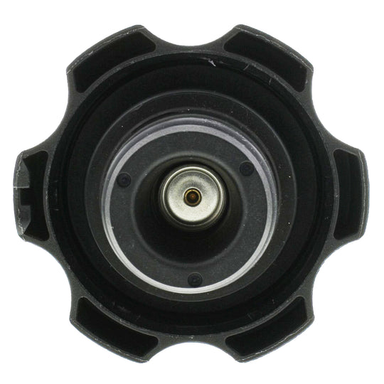 T73 Engine Coolant Reservoir Cap BFNG