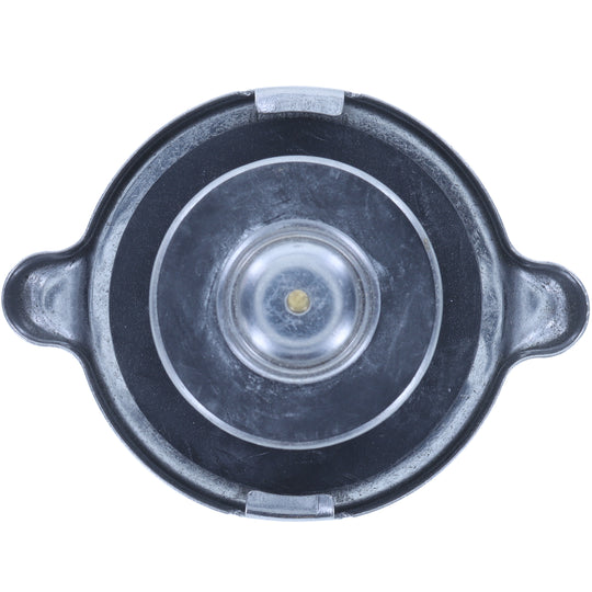 T9 Radiator Cap BFNG