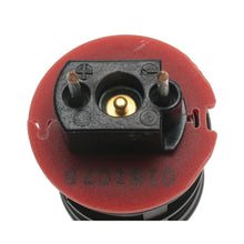 Load image into Gallery viewer, TJ24 Standard Ignition Fuel Injector Standard Ignition Canada