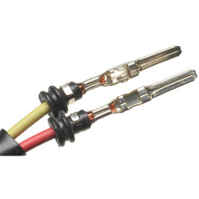 Load image into Gallery viewer, TJ49 Standard Ignition Fuel Injector Standard Ignition Canada