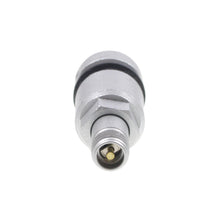 Load image into Gallery viewer, TPM10 Standard Ignition Tire Pressure Monitoring System (TPMS) Valve Kit Standard Ignition Canada