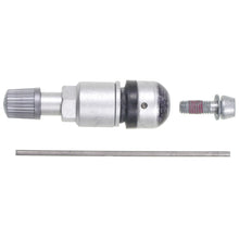 Load image into Gallery viewer, TPM10 Standard Ignition Tire Pressure Monitoring System (TPMS) Valve Kit Standard Ignition Canada