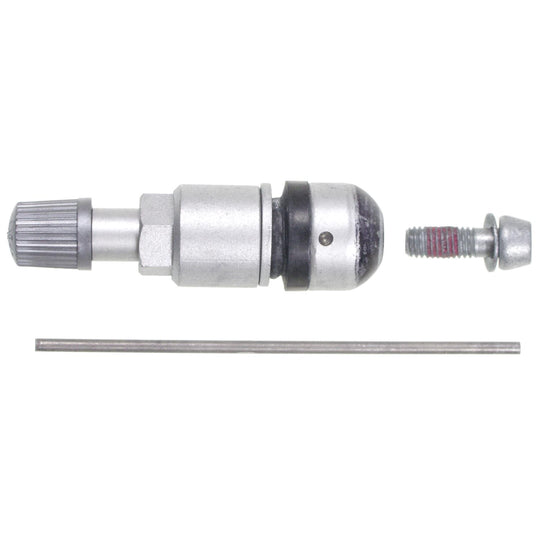TPM10 Standard Ignition Tire Pressure Monitoring System (TPMS) Valve Kit Standard Ignition Canada