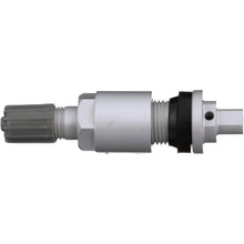 Load image into Gallery viewer, TPM2012VK25PK Tire Pressure Monitoring System (TPMS) Programmable Sensor Valve Kit Standard Ignition Canada
