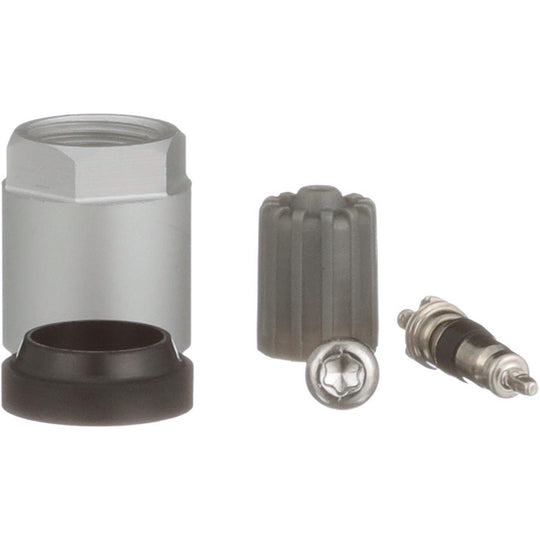 TPM4012SK Tire Pressure Monitoring System (TPMS) Programmable Sensor Valve Kit Standard Ignition Canada