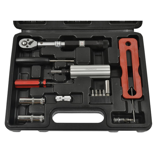 TPM5010 Standard Ignition Tire Pressure Monitoring System (TPMS) Sensor Service Tool Standard Ignition Canada