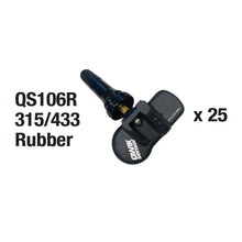 Load image into Gallery viewer, TPM9025 Standard Ignition Tire Pressure Monitoring System (TPMS) Sensor Service Kit Standard Ignition Canada