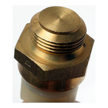 Load image into Gallery viewer, TS-173 Standard Ignition Engine Cooling Fan Switch Standard Ignition Canada