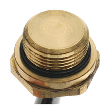 Load image into Gallery viewer, TS-379 Engine Cooling Fan Switch Standard Ignition Canada