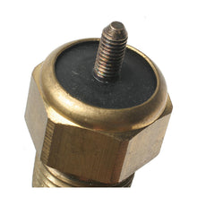 Load image into Gallery viewer, TX29 Standard Import Engine Cooling Fan Switch Standard Import Canada