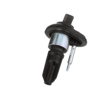 Load image into Gallery viewer, UF-303 Blue Streak Ignition Coil Blue Streak Canada