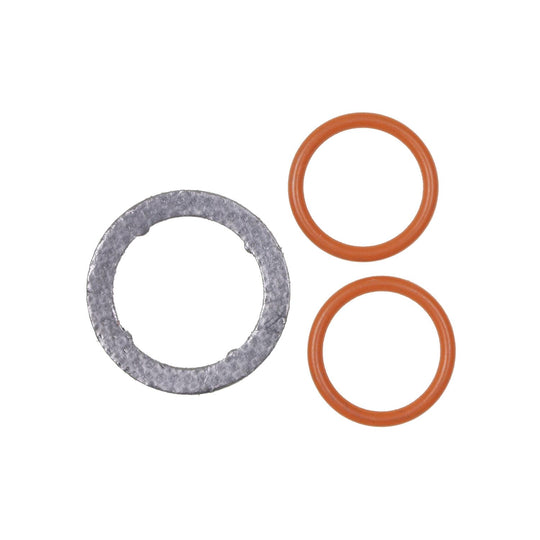 VG169 Exhaust Gas Recirculation (EGR) Valve Gasket Standard Ignition Canada