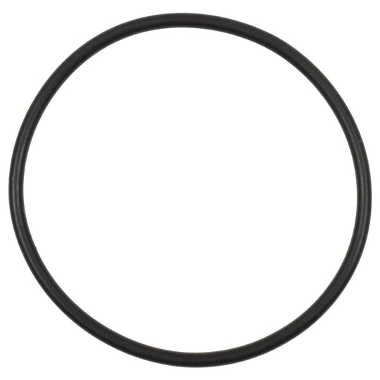 VG240 Standard Ignition Exhaust Gas Recirculation (EGR) Valve Gasket Standard Ignition Canada