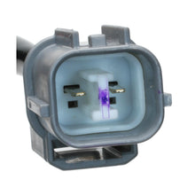 Load image into Gallery viewer, VS40 Standard Import Exhaust Gas Recirculation (EGR) Valve Control Solenoid Standard Import Canada
