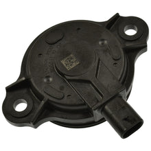 Load image into Gallery viewer, VVT353 Engine Camshaft Position Sensor Magnet Standard Import Canada