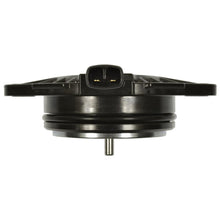 Load image into Gallery viewer, VVT389 Engine Camshaft Position Sensor Magnet Standard Import Canada