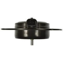 Load image into Gallery viewer, VVT392 Engine Camshaft Position Sensor Magnet Standard Import Canada