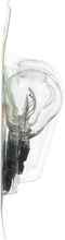 Load image into Gallery viewer, 3057LLB2 Philips LongerLife Miniature 3057LL - LongerLife - Twin Blister Pack Philips Bulbs