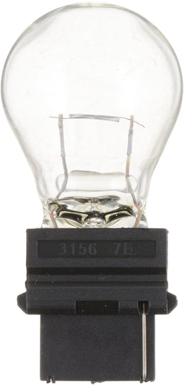 3156B2 Philips Standard Miniature 3156 - Standard - Twin Blister Pack Philips Bulbs