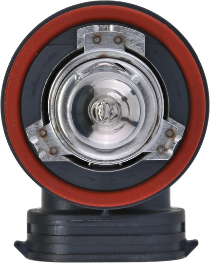 H11NGPB1 Philips NightGuide platinum Headlight H11 - NightGuide Platinum - Single Blister Pack Philips Bulbs