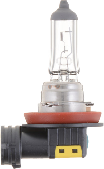 H8B1 Philips Standard Headlight H8 - Standard - Single Blister Pack Philips Bulbs