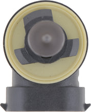 Load image into Gallery viewer, 896C1 Philips Standard Fog Light 896 - Standard - Single Commercial Pack Philips Bulbs
