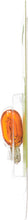 Load image into Gallery viewer, 194NALLB2 Philips LongerLife Miniature 194NALL - LongerLife - Twin Blister Pack Philips Bulbs