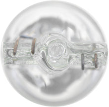 Charger l'image dans la galerie, 194CP Philips Standard Miniature 194 - Standard - Multiple Commercial 10-Pack Philips Bulbs