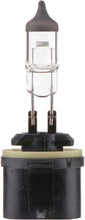 Load image into Gallery viewer, 899B1 Philips Standard Fog Light 899 - Standard - Single Blister Pack Philips Bulbs