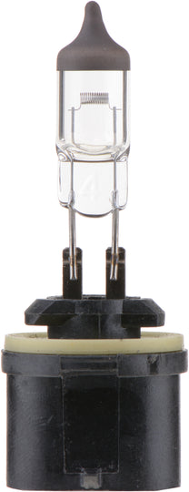 899B1 Philips Standard Fog Light 899 - Standard - Single Blister Pack Philips Bulbs