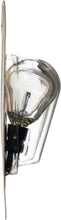 Load image into Gallery viewer, 3156B2 Philips Standard Miniature 3156 - Standard - Twin Blister Pack Philips Bulbs