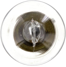 Load image into Gallery viewer, 199CP Philips Standard Miniature 199 - Standard - Multiple Commercial 10-Pack Philips Bulbs